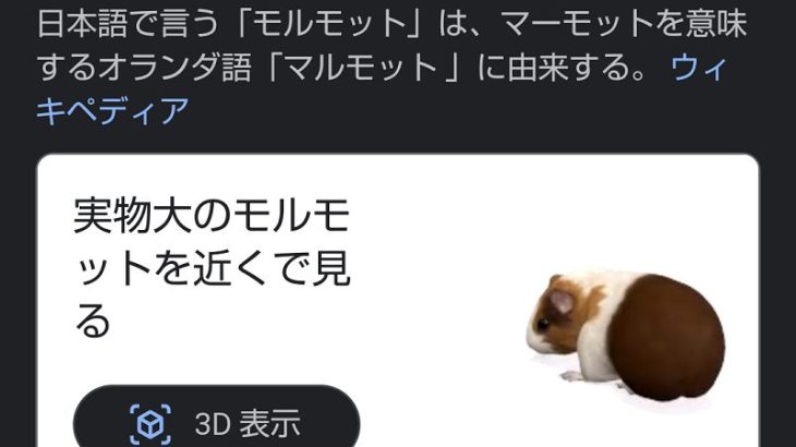 【Android】Googleで動物を3D表示できる機能が面白い！